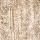 Stanton Carpet: Gigi Wheat